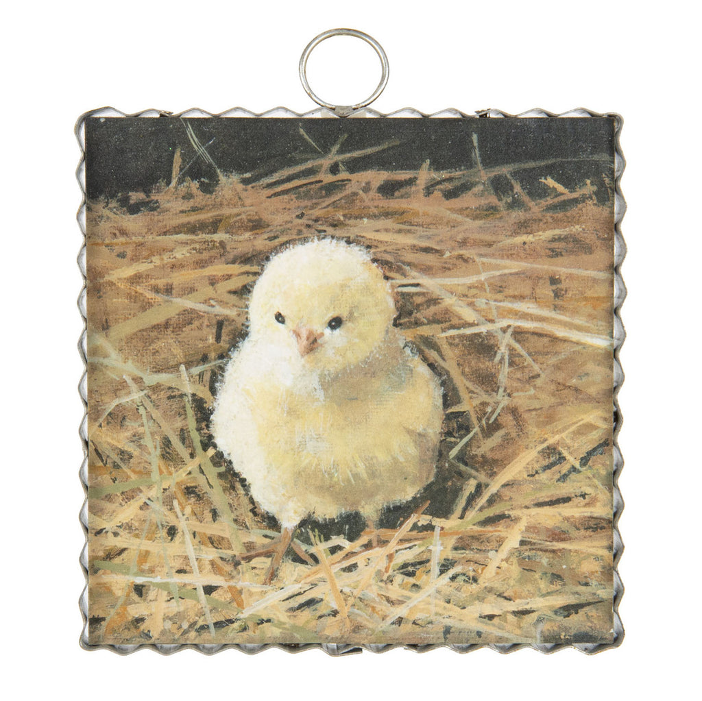 Roundtop Collection Mini Baby Chick Print
