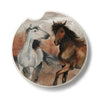 Southwest Horses Car Coaster