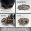 Zebra Butterflies Car Coaster