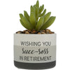 Wishing You Succ-sess In Retirement Artifical Potted Plant