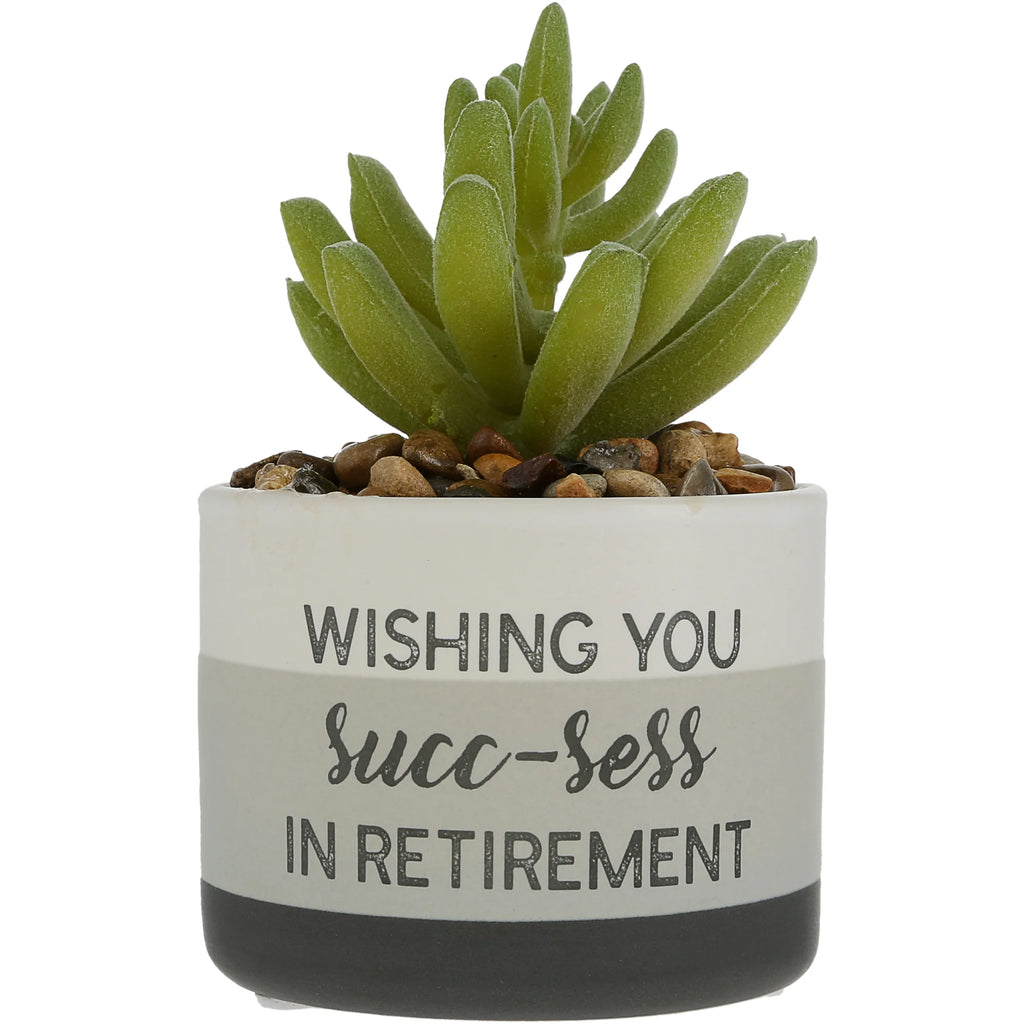 Wishing You Succ-sess In Retirement Artifical Potted Plant
