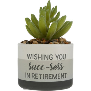 Wishing You Succ-sess In Retirement Artifical Potted Plant