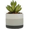 Wishing You Succ-sess In Retirement Artifical Potted Plant