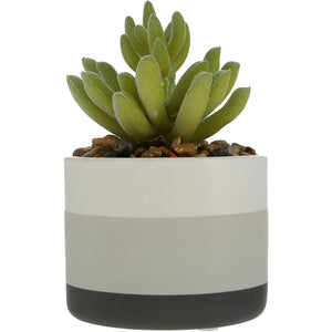 Wishing You Succ-sess In Retirement Artifical Potted Plant