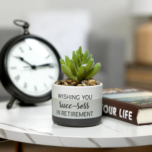 Wishing You Succ-sess In Retirement Artifical Potted Plant