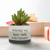 Wishing You Succ-sess In Retirement Artifical Potted Plant