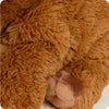 Wooly Mammoth Warmies