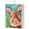 Roundtop Collection Mini Bunny Close-Up Print