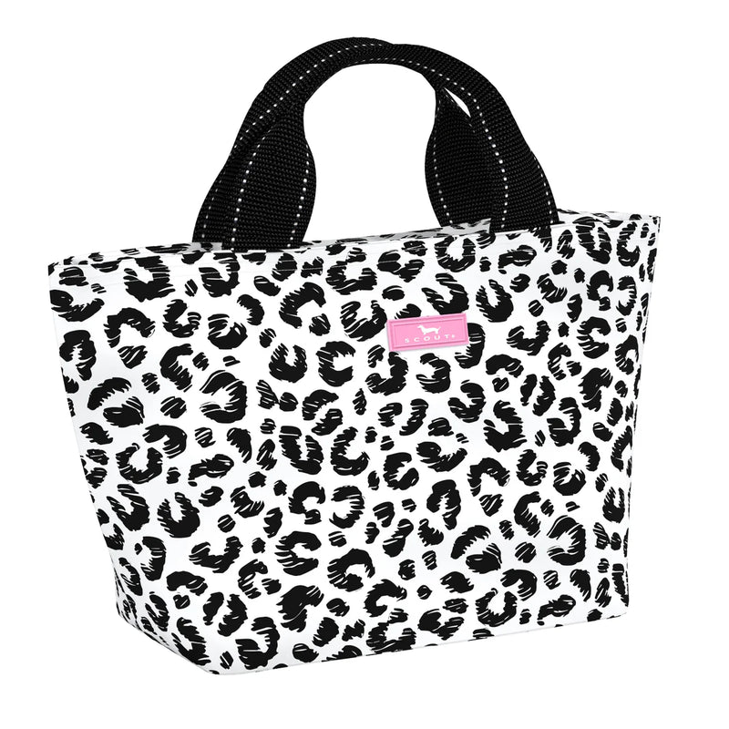 Cat Skills Nooner Scout Lunch Box