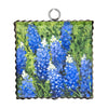 Roundtop Collection Mini Gallery Bluebonnets Print