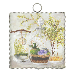 Roundtop Collection Mini Hamilton Terrariums Print