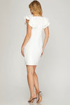 Celebrate the Day Ruffled Sleeve Dress