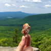 Sugar + Spice Pretzel Bites