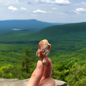 Sugar + Spice Pretzel Bites