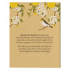 One Minute Devotions Morning by Morning Softcover