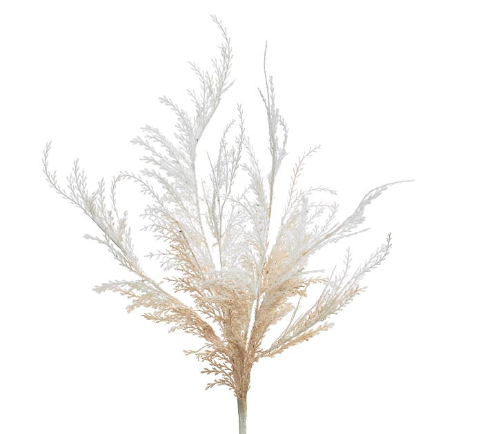 Floral Pampas Grass