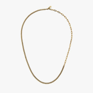 Men's Pura Vida Gold Rolo Chain Necklace