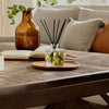 Frazier Fir Thymes Petite Pine Needle Design Reed Diffuser