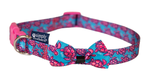 Turtle Simply Southern Collar & Leash