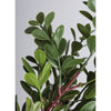 Small Boxwood Pick