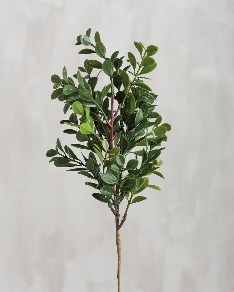 Small Boxwood Pick