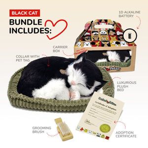 Perfect Petzzz Original Black & White Kitten