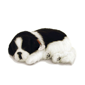 Perfect Petzzz Original Border Collie