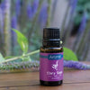 Clary Sage Airome Essential Oil