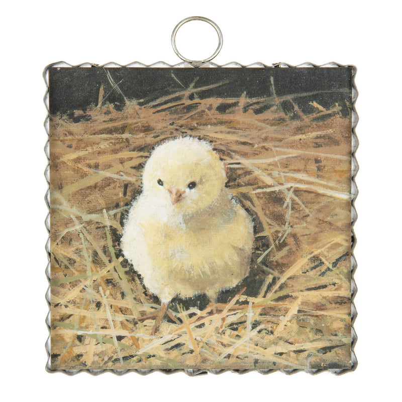 Roundtop Collection Mini Baby Chick Print