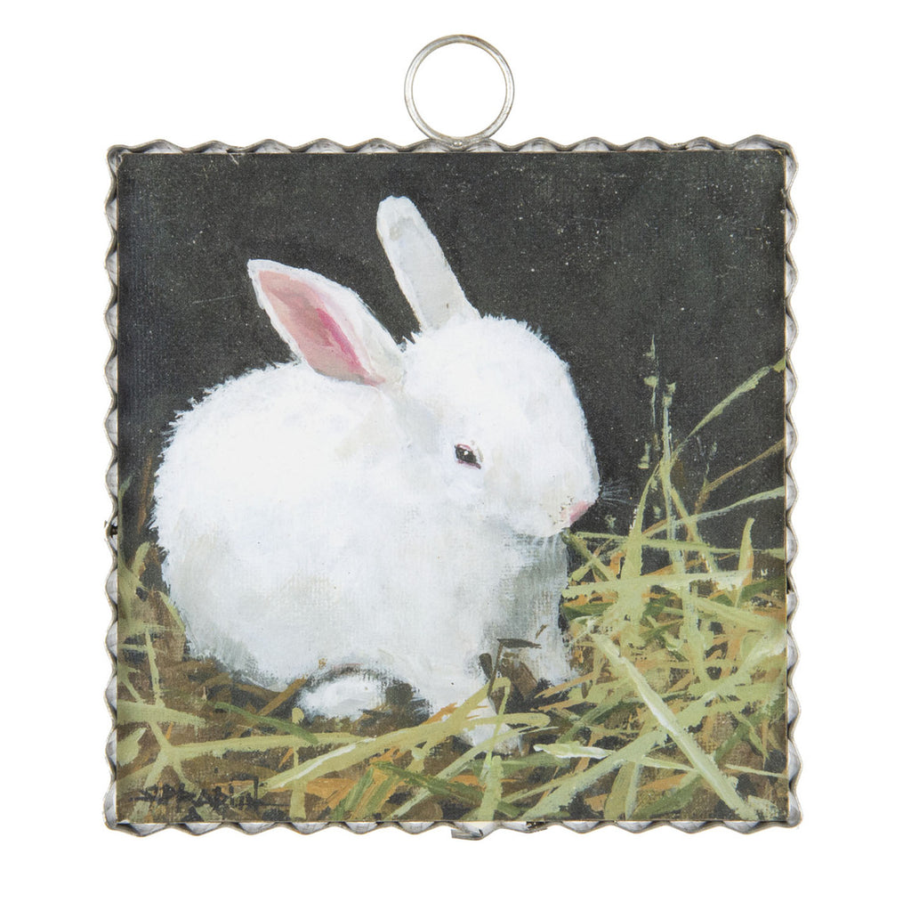 Roundtop Collection Mini Baby Bunny Print