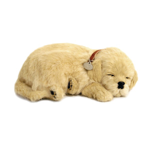 Perfect Petzzz Original Golden Retriever