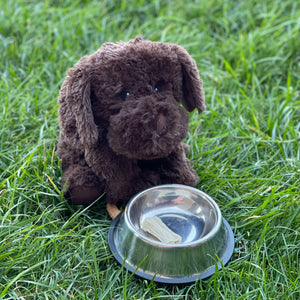 Chocolate Labrador Warmie