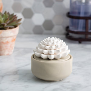 Succulent Porcelain Airome Diffuser