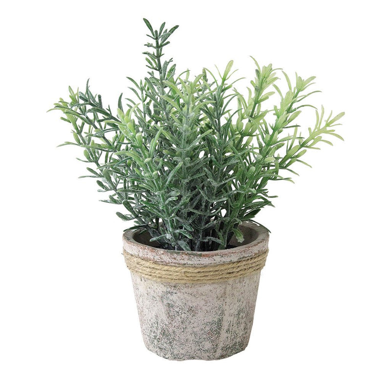 Imitation Rosemary Plant