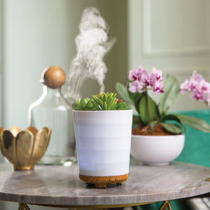 Potted Succulent Ultra Sonic Essential Oil Diffuser
