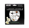 Louis C. Tiffany Tiffany Magnolia Window Modgy Luminary Set