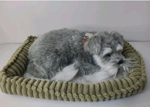 Perfect Petzzz Original Schnauzer